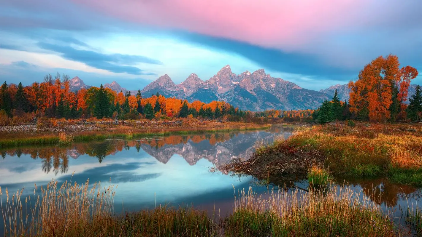 高效可靠性独特
